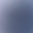 dyanaracorachea avatar