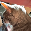 dying-perhaps avatar