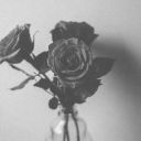 dying-to-be-empty00 avatar