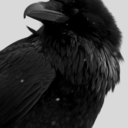 dykeadentisme avatar