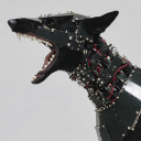 dykeinthetrenches avatar