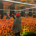 dykeosaurus-x avatar