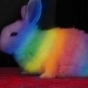 dykephilelverum avatar