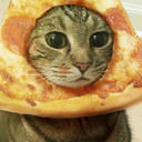 dykeypookster avatar