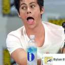 dylanisforeverbae avatar