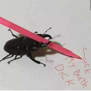 dylanotterpop avatar