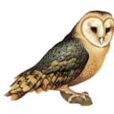 dynamic-contrast avatar