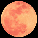 dynamiter-lune avatar