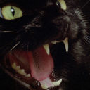 dysfunktional avatar