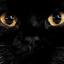 dzika-jak-zwierz avatar