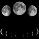 e-c-h--o--e-s avatar