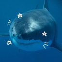 e-jellyshark avatar