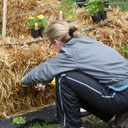 e-strawbalegardener avatar