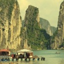 eagledaggerrosepanther avatar