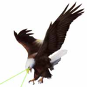 eaglelasers-blog avatar