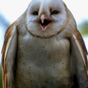 eagleowlus avatar