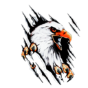 eagleshaped avatar