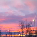 earl-gray-waves avatar