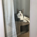 earliest-bird avatar