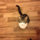 earnestlythine avatar