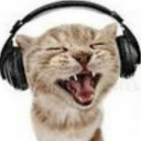 earphonecat avatar