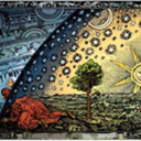 earth-to-camilla avatar