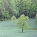 earthisaperson avatar