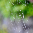 earthisart-blog avatar