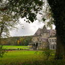 earthwithrain avatar