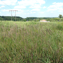 earthy-accents-blog avatar