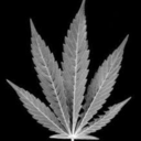 ease-the-ache-blog avatar