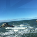 east--coastin avatar