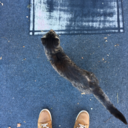 eastcoastbright avatar