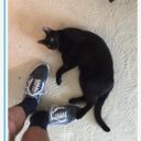 easy-steeze-blog avatar