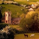 easychefrecipes avatar