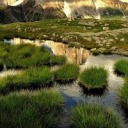 easypeasypaleo avatar