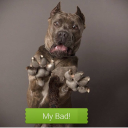 easytime-69-money avatar