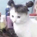 eat-my-aesthetic avatar