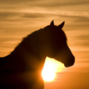 eat-sleep-ride-blog avatar