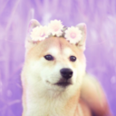 eat-spaghetti-forgetti-regretti avatar