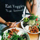 eat-veggies-not-animals avatar