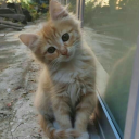 eating-clouds avatar