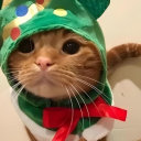 eatingpastr13s avatar