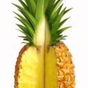 eatingpineapple avatar