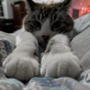 eatme-drink-me avatar