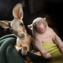 eatmoreplantz avatar