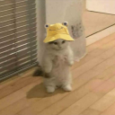 eatmysombrero avatar