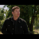 eatpieandkilldemons avatar