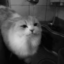 eatyoursandwichplease avatar