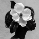 ebonymagnolia avatar